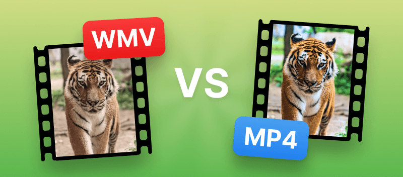 WMV vs MP4: What's the Difference?
